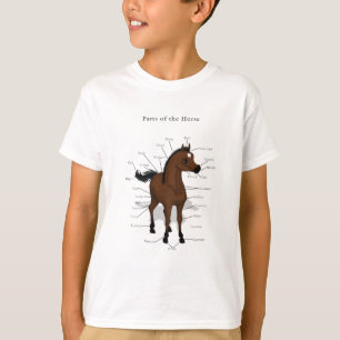 T-shirt Carte d'anatomie du cheval sur le poulain de la ba