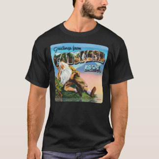 T-shirt Carte Postale Vintage CatSkills Rip Van Winkle