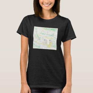 T-shirt Carte vintage Tachikawa Japon 1945