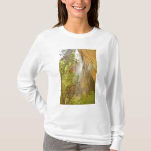 T-shirt Cascade du bassin d'émeraude inférieur Rocher roug