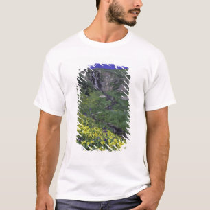 T-shirt Cascade et fleurs sauvages dans une prairie alpine