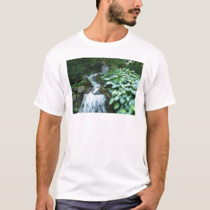 T-shirt Cascade et Hostas