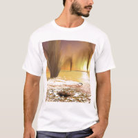 Casquette de glace polaire sud de Martian