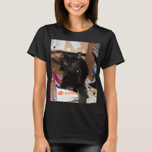 T-shirt Cat