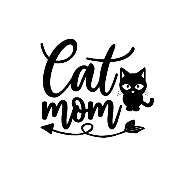 T-shirt Cat Mom  (A playful, animated scene unfolds with a close-up of a white t-shirt featuring a whimsical design.)