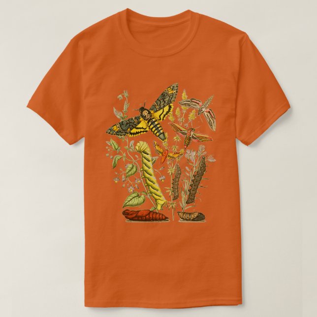 T-shirt Caterpillar Hawk Moth Entomolog scientifique Vinta (Design devant)