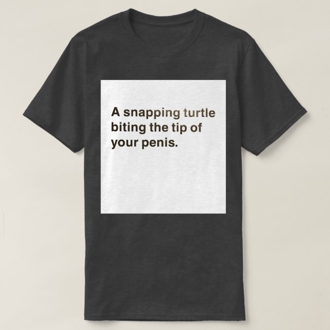 T-shirt Ce qui a mis fin à ma Dernière relation (Design devant)