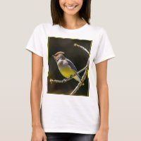 Cèdre cire Songbird Photo originale Oiseau sauvage
