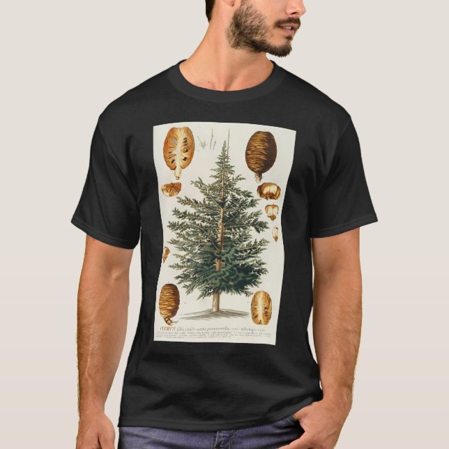 T-shirt Cèdre Et Dissectation Du Cône - Cedrus - Botani (Devant)