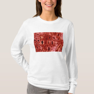 T-shirt Cellules de Sclerenchyma d'un puits de cerise