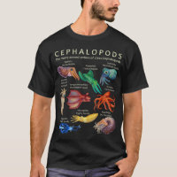 Céphalopodes poulpes calamars
