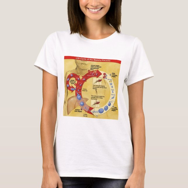 T-shirt Cercle de la vie T (Devant)