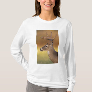 T-shirt Cerf à queue blanche, Odocoileus virginianus,