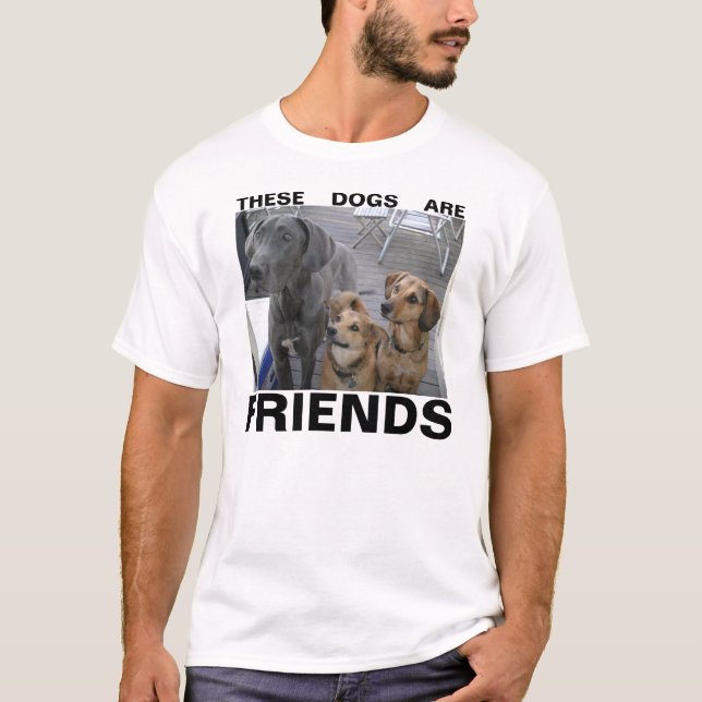 T-SHIRT CES CHIENS SONT DES AMIS (Devant)