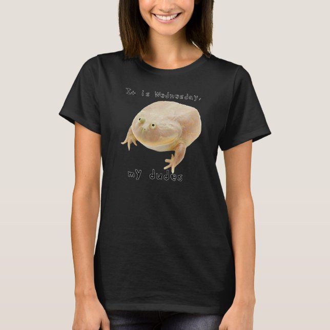 T-shirt C'est mercredi My Dudes Classic Funny Frog Meme 1 (Devant)
