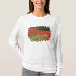 T-shirt Champ de fleurs de pavot hybride planté le long de