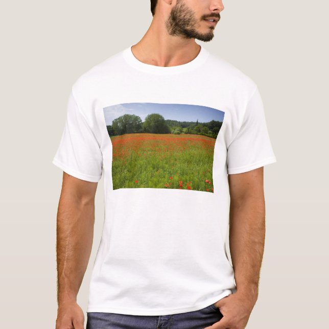 T-shirt Champ de pavot, Chiusi, Italie (Devant)