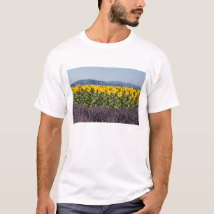 T-shirt Champ de tournesols et fleurs de lavande,