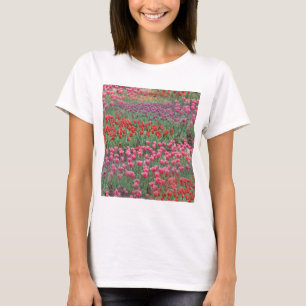 T-shirt Champ De Tulipes
