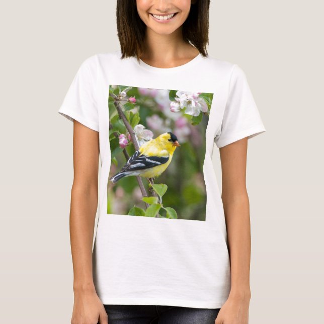 T-shirt Chardonneret américain avec des fleurs de pomme de (Devant)