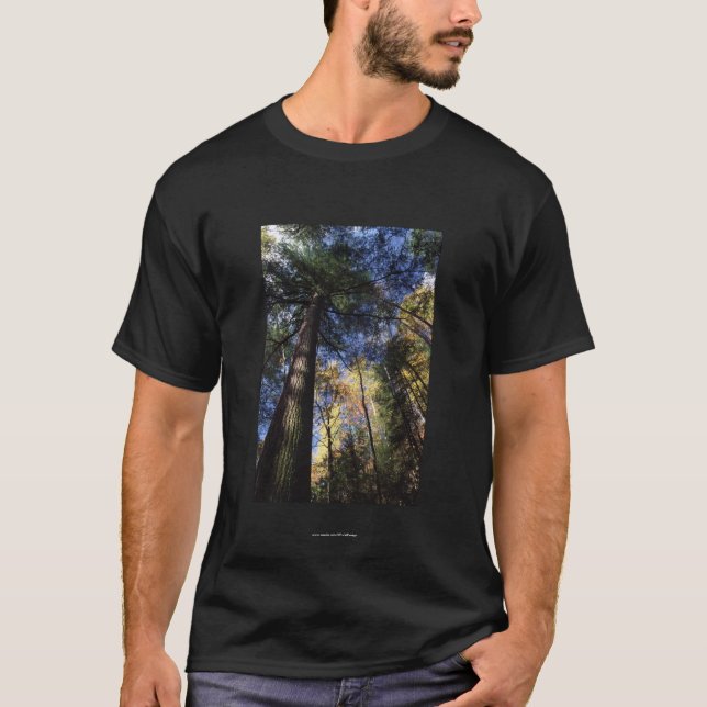 T-shirt Charlotte Bronte (Devant)