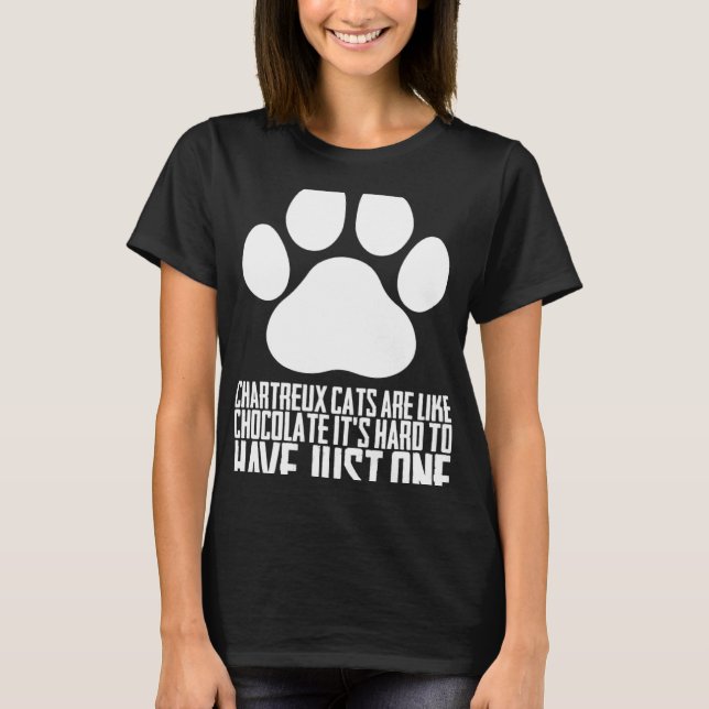 T-shirt Chartreux chats Chartreux Chartreux chaton (Devant)