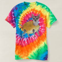 Chat de pomme de terre