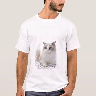 T-shirt Chat de Ragdoll sur le clavier d'ordinateur
