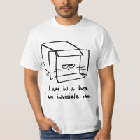 Chat en colère est invisible dans sa boîte