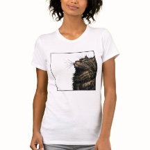 Chat Fluffy Majestueux Portrait Yeux Verts