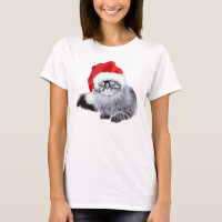 Chat mignon drôle de Père Noël dans Noël en verre