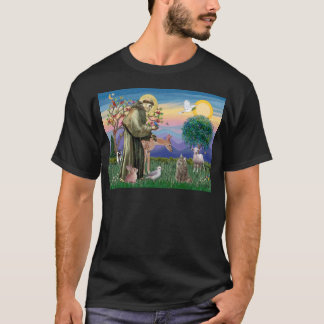 T-shirt Chat norvégien tabby - Saint François