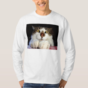 T-shirt Chat observé par croix et Ladybird