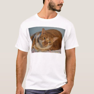 T-shirt Chat orange et blanc