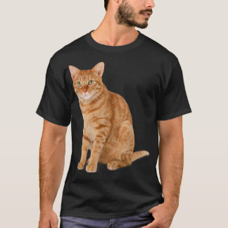 T-shirt Chat Tabby Orange