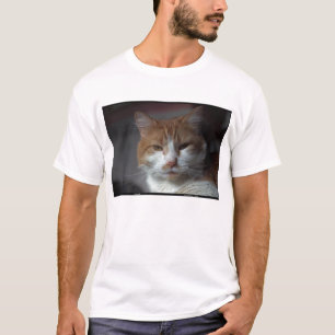 T-shirt Chat tigré orange et blanc de "souci"