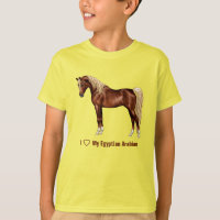 Châtaigner égyptien Cheval Arabe laxen Mane & Tail