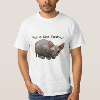 T-shirt Chaton mignon de sphynx