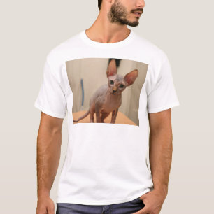 T-shirt Chaton mignon de sphynx "je suis furless, et vous