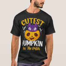Chaton sur Citrouille dans le Champ le Plus Mignon