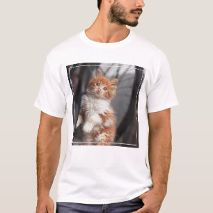 T-shirt Chaton tigré orange
