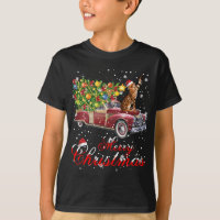 Chats Rides Camion Rouge Pajama de Noël