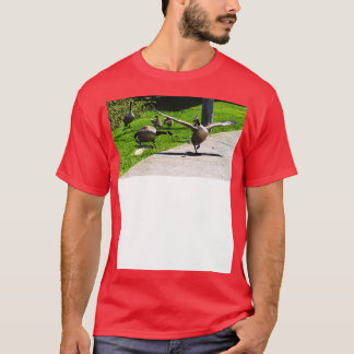 T-shirt Chauffage D'Oies Du Canada À D'Autres Ailes D'Oies