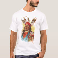 Chef de Sioux de Pawnee : Ours de précipitation