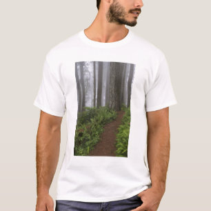 T-shirt Chemin à travers les séquoias géants enveloppés