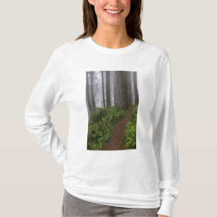 T-shirt Chemin à travers les séquoias géants enveloppés