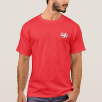 Chemise anglo de Saxon