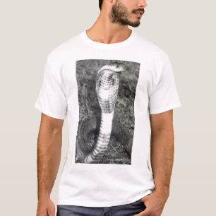 T-shirt chemise de cobra de roi
