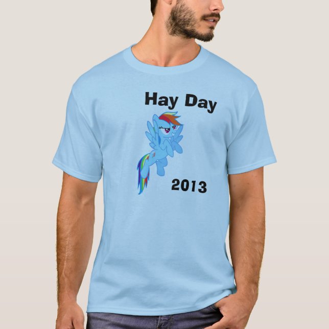 T-shirt Chemise de fonctionnaire du jour 2013 de foin (Devant)