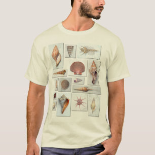 T-shirt Chemise de Shell